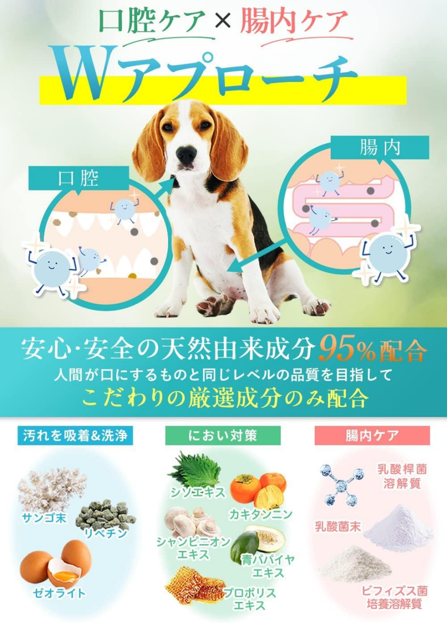 Dr.Wantect メインイメージ